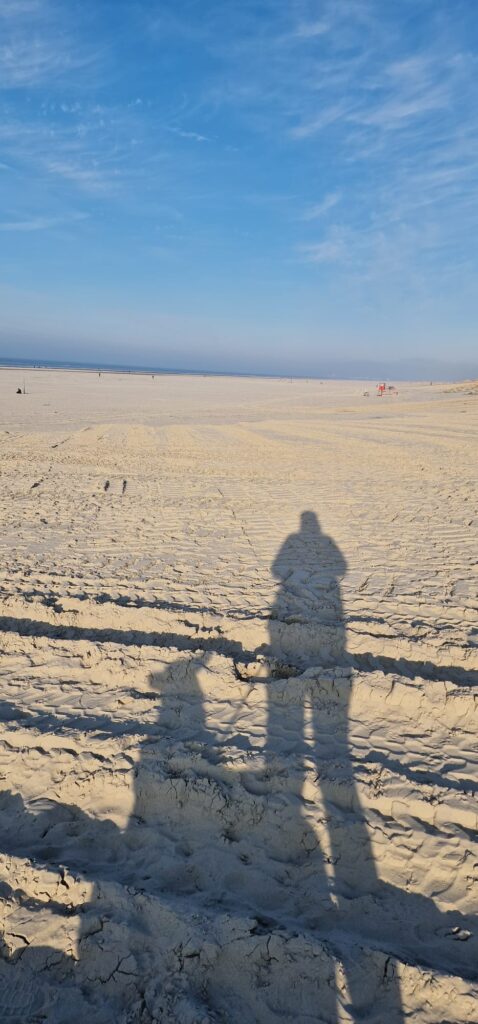 Schatten von Person und Hund am Strand, Horizont strahlend blauer Himmel